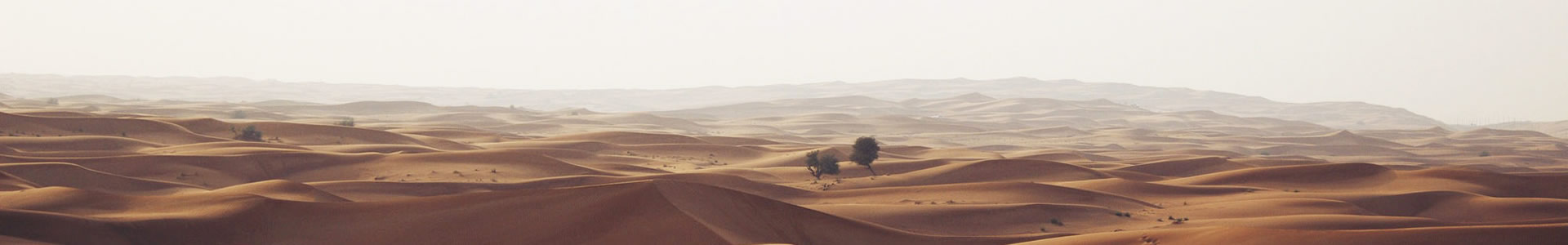 δƼ޹˾